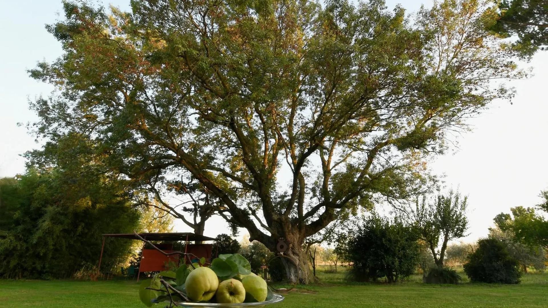 Agriturismo Podere Il Leccio Castiglione della Pescaia