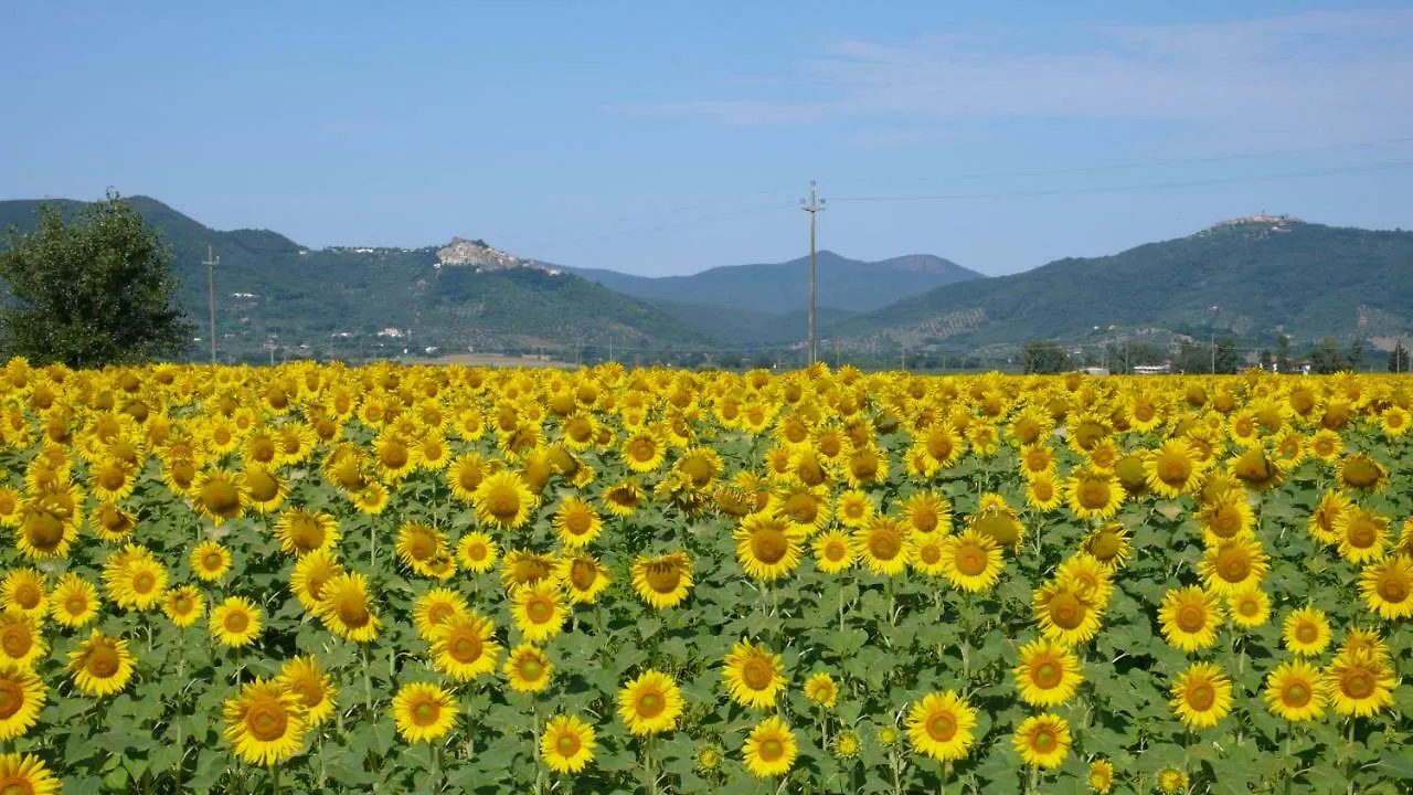 Farm stay Agriturismo Podere Il Leccio Castiglione della Pescaia