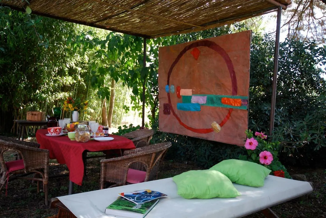 Farm stay Agriturismo Podere Il Leccio Castiglione della Pescaia Italy